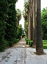 0257a Athene